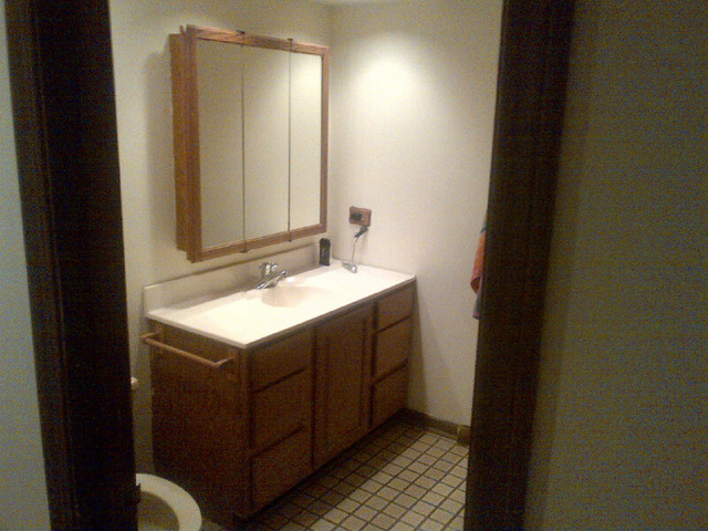 1730 Good Avenue Park Ridge, IL 60068 - Photo 14 of 24 a bathroom with a sink and a mirror