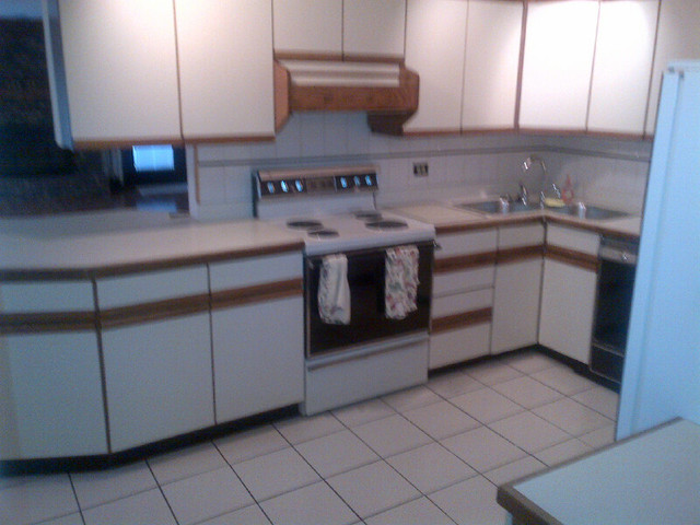 1730 Good Avenue Park Ridge, IL 60068 - Photo 6 of 24 a kitchen with stainless steel appliances granite countertop a sink a stove and cabinets