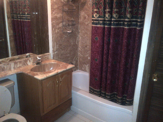 1730 Good Avenue Park Ridge, IL 60068 - Photo 7 of 24 a bathroom with a sink and a mirror