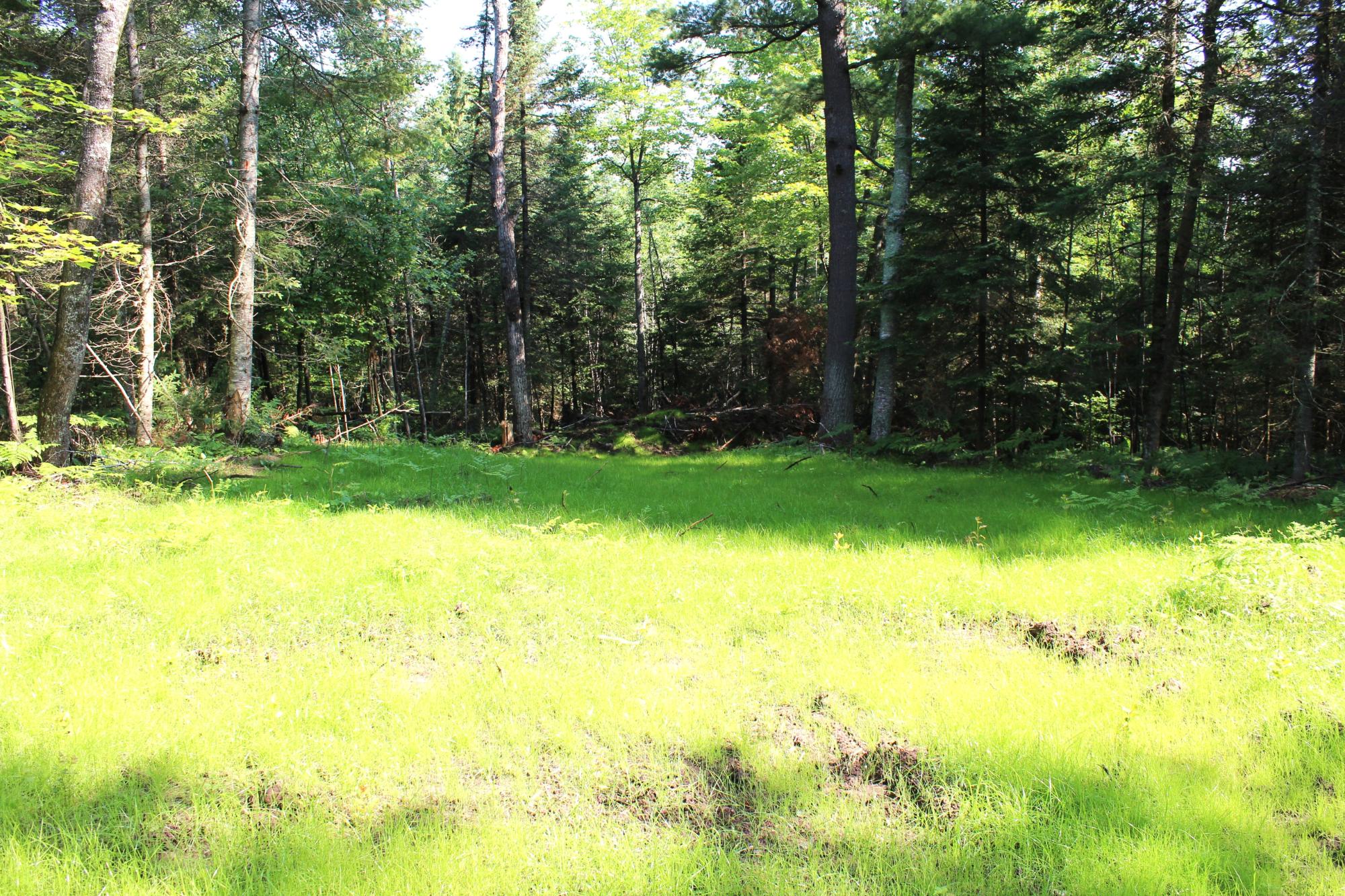 On Grundy Road Gleason, WI 54435 - Photo 13 of 19 Gallery Image 13