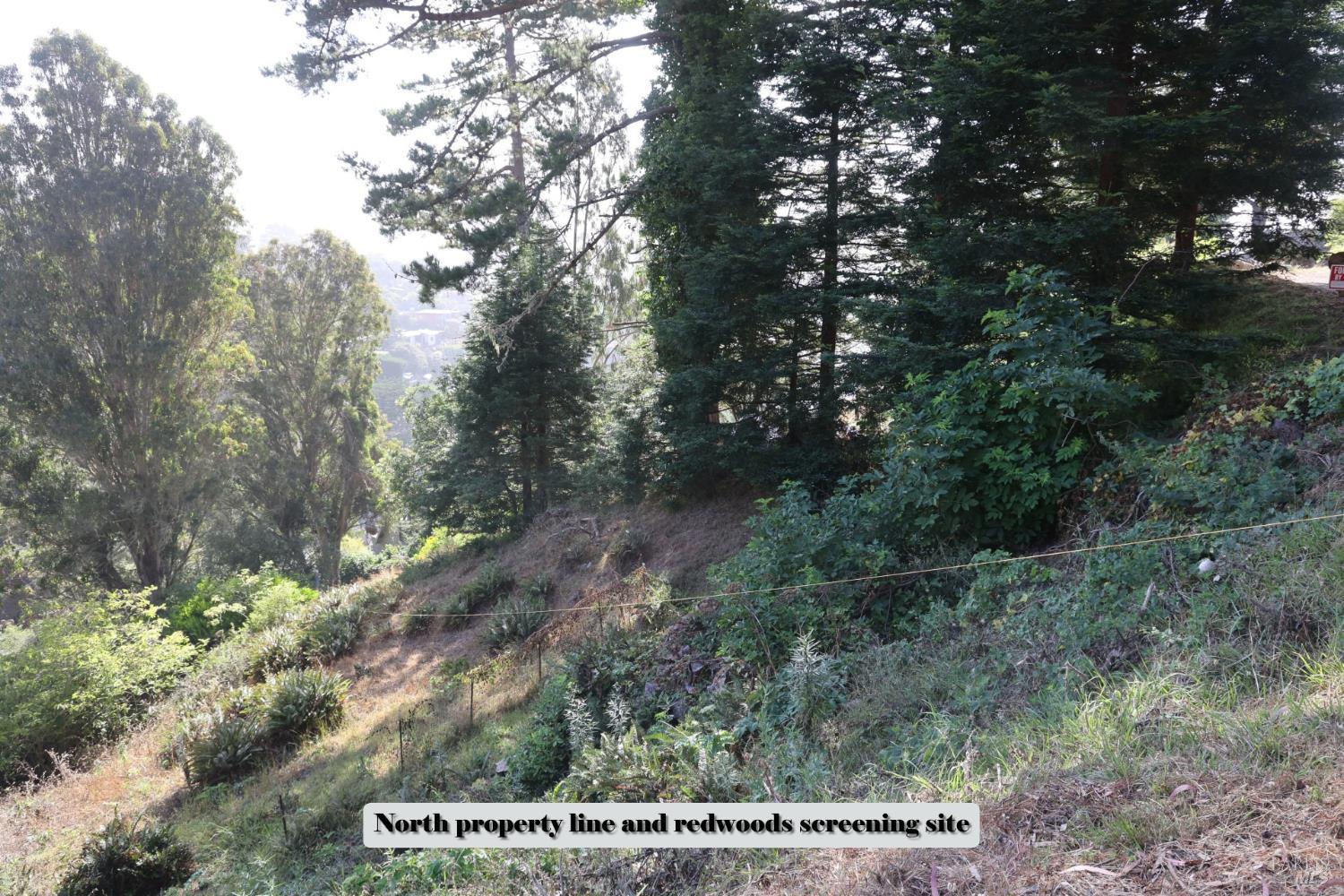 47 Charlottes Way Muir Beach, CA 94965 - Photo 11 of 23
