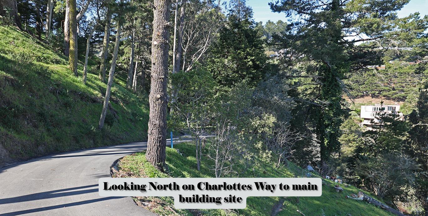 47 Charlottes Way Muir Beach, CA 94965 - Photo 12 of 23