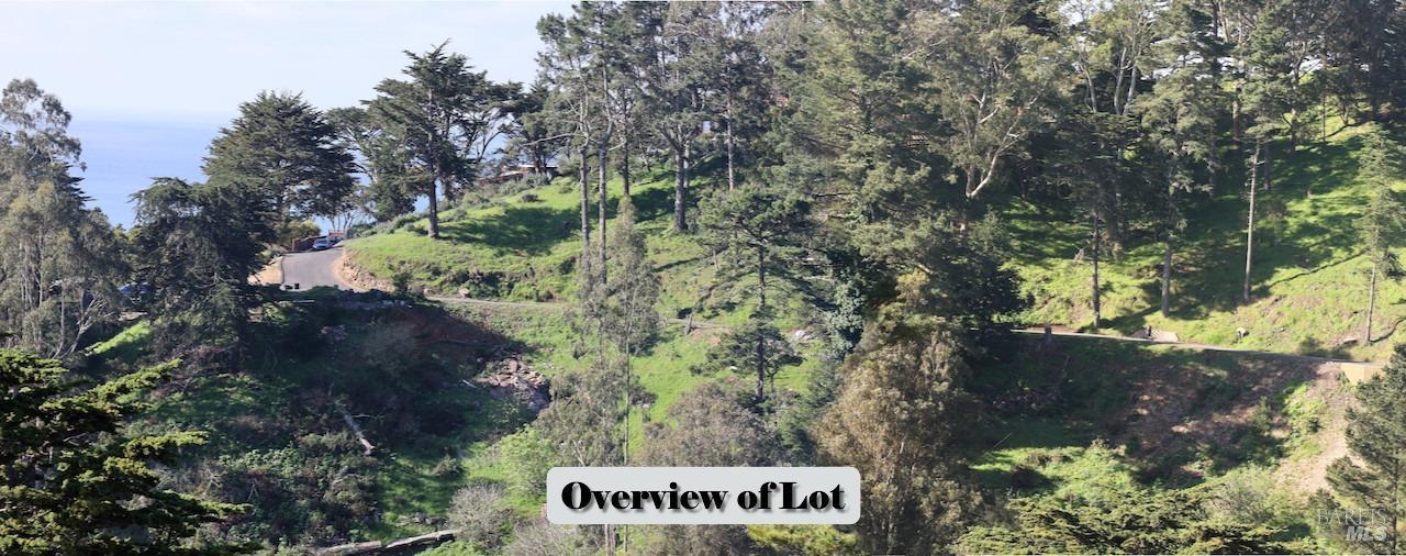 47 Charlottes Way Muir Beach, CA 94965 - Photo 3 of 23