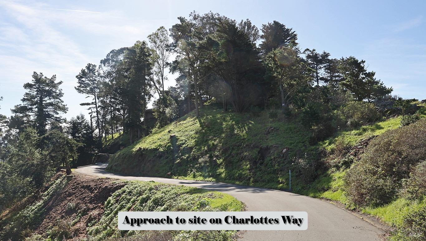 47 Charlottes Way Muir Beach, CA 94965 - Photo 5 of 23