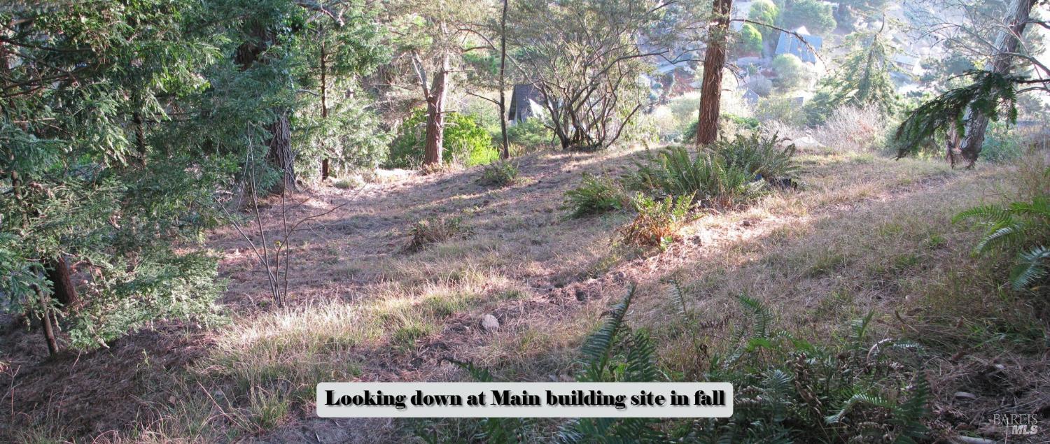 47 Charlottes Way Muir Beach, CA 94965 - Photo 8 of 23
