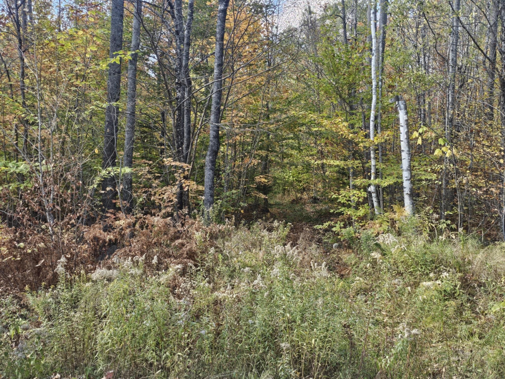 5 Map Road Phillips, ME 04966 - Photo 11 of 13