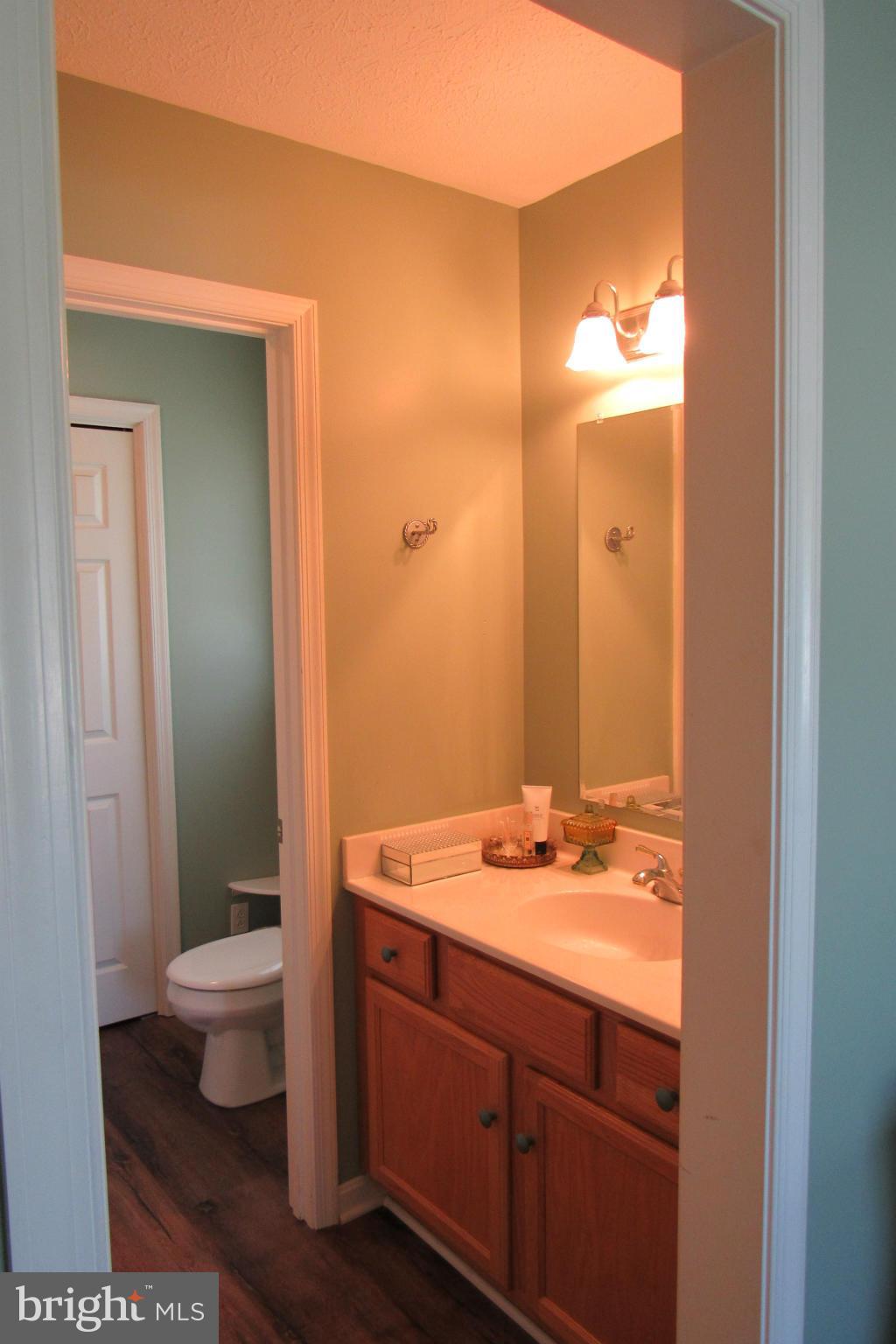 3 Johnsons Mill Road Berkeley Springs, WV 25411 - Photo 12 of 21 Bath (Master)
