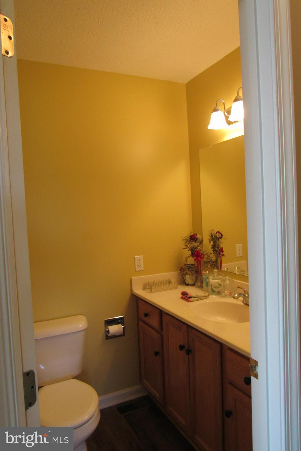 3 Johnsons Mill Road Berkeley Springs, WV 25411 - Photo 17 of 21 Bath