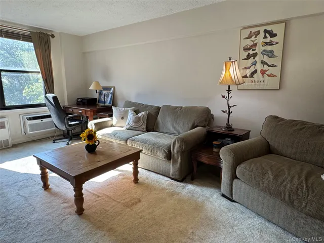 a living room with furniture a couch and a window