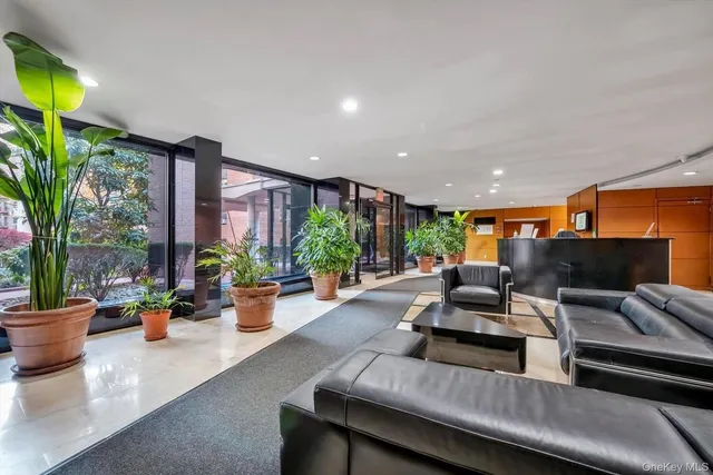 a living room with furniture and a potted plant