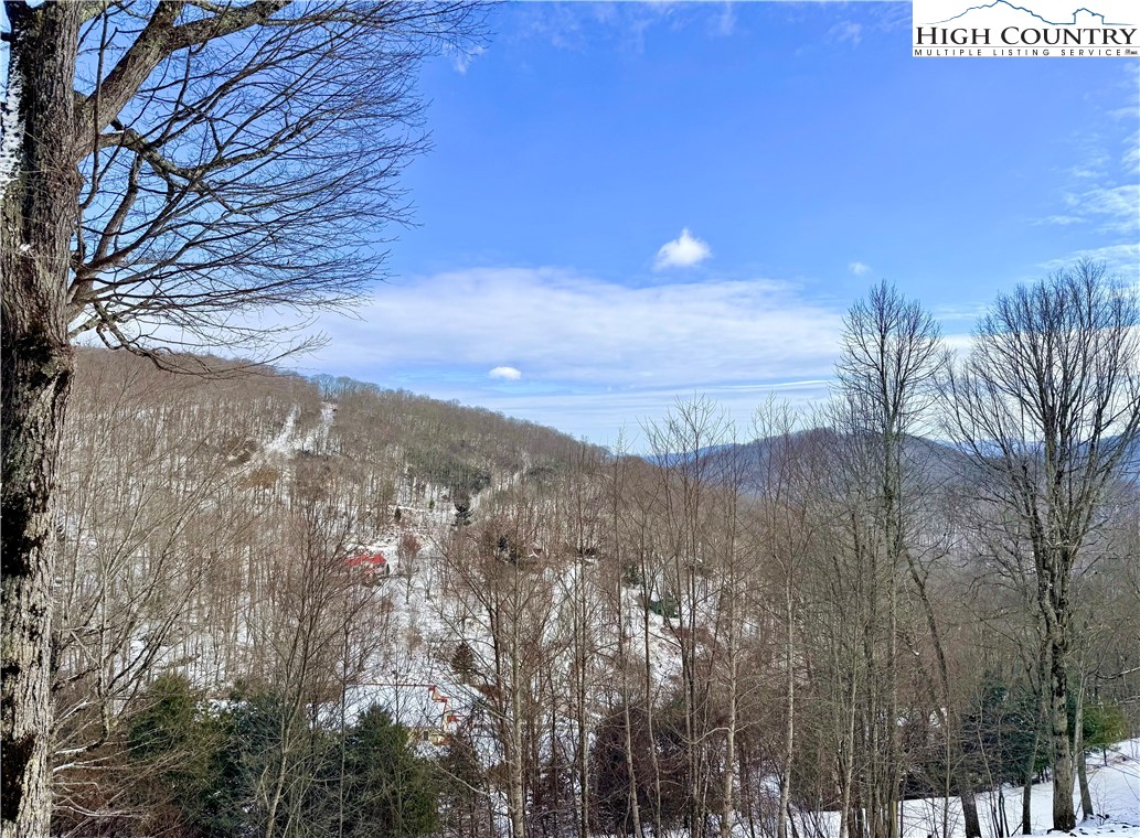 386 Hornblend Drive Boone, NC 28607 - Photo 45 of 49