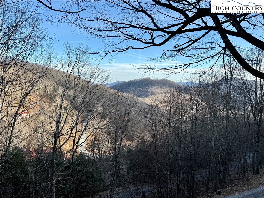 386 Hornblend Drive Boone, NC 28607 - Photo 47 of 49