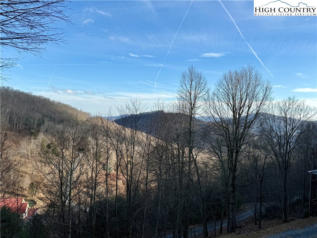 386 Hornblend Drive Boone, NC 28607 - Photo 48 of 49