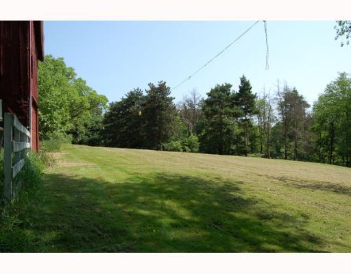 5635 Tuscarawas Road Beaver, PA 15009 - Photo 7 of 8 Yard/Garden.