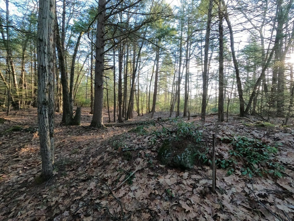 0 Barre Road Phillipston, MA 01331 - Photo 3 of 9