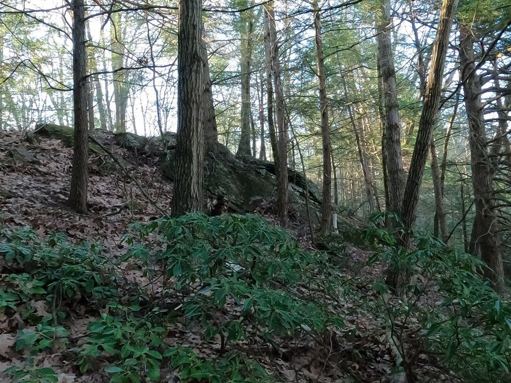 0 Barre Road Phillipston, MA 01331 - Photo 5 of 9