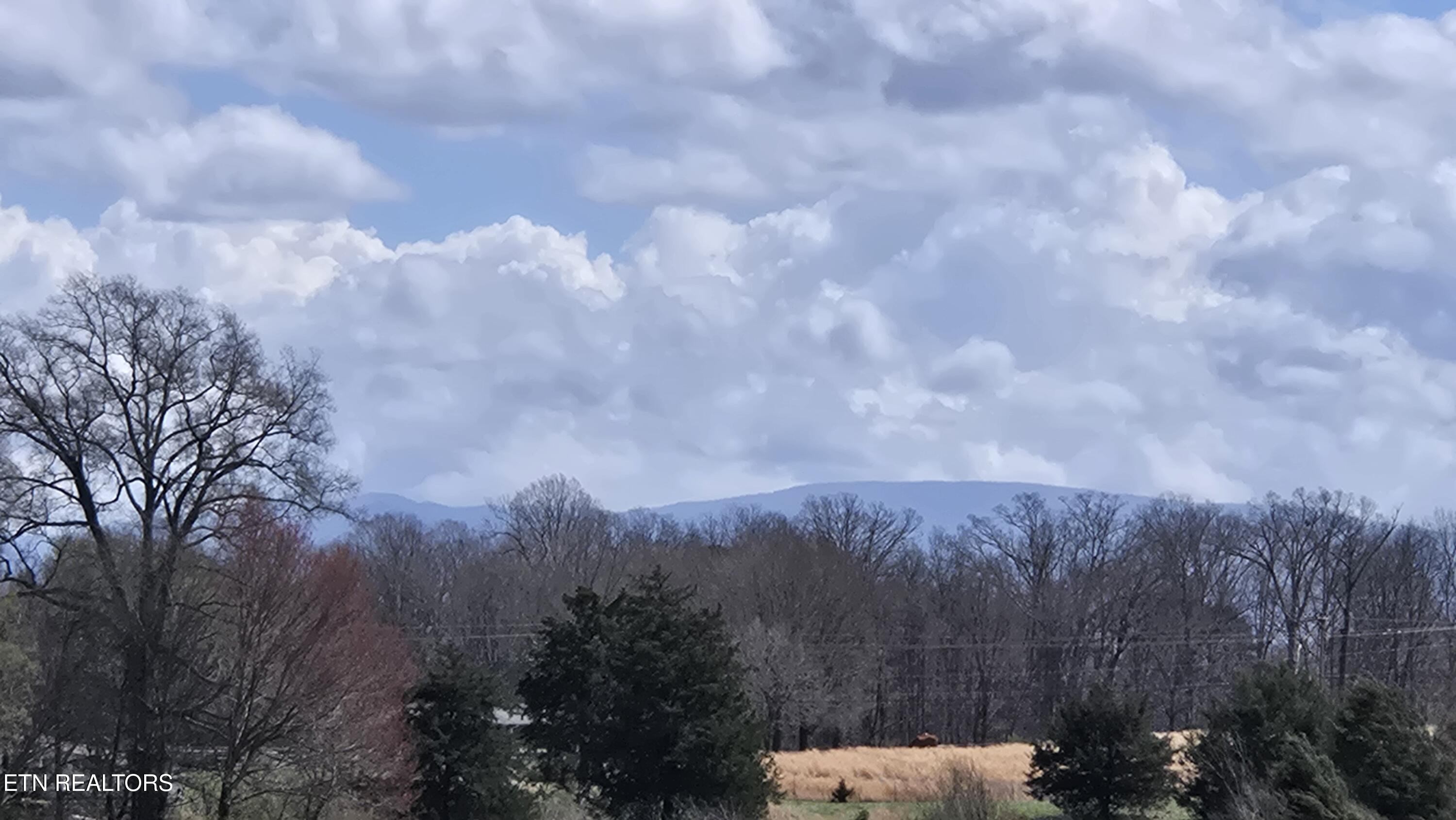 Niles Ferry Road Madisonville, TN 37354 - Photo 8 of 8 Smoky Mountains