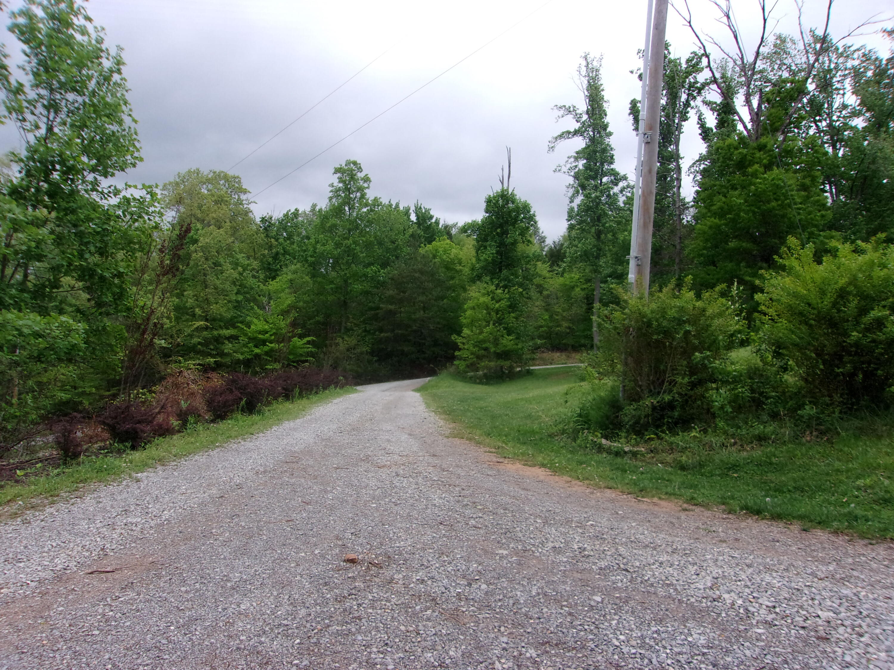 202 Roaring Creek Road Chuckey, TN 37641 - Photo 3 of 42 100_0756