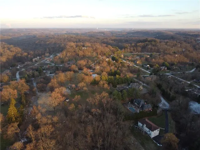 a view of road with large trees