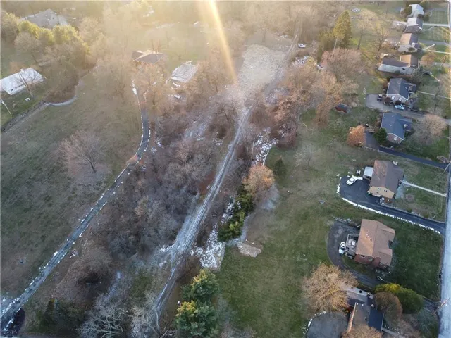 a view of a yard with trees