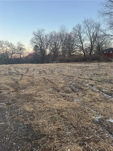 a view of dirt yard with a large tree