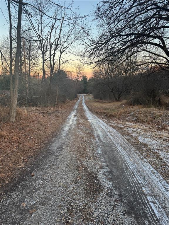 4625 Middle Road Allison Park, PA 15101 - Photo 6 of 7 a view of a yard with trees