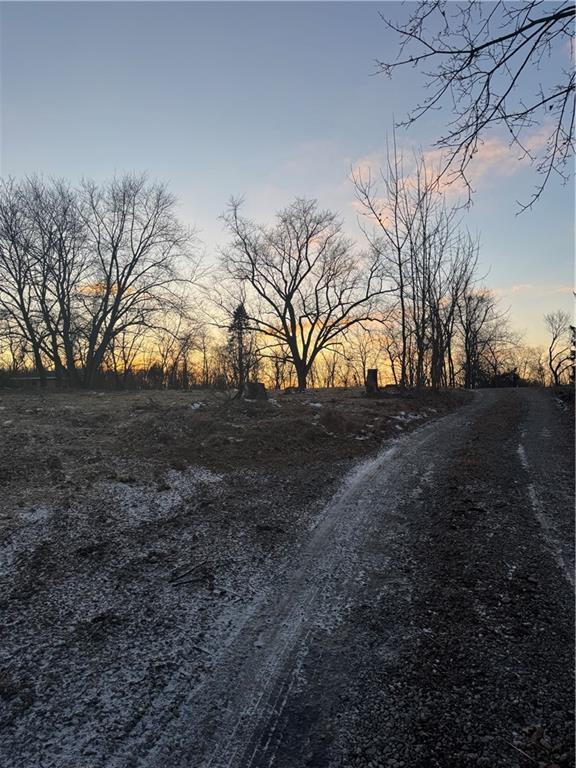 4625 Middle Road Allison Park, PA 15101 - Photo 7 of 7 a view of dirt yard with a large tree