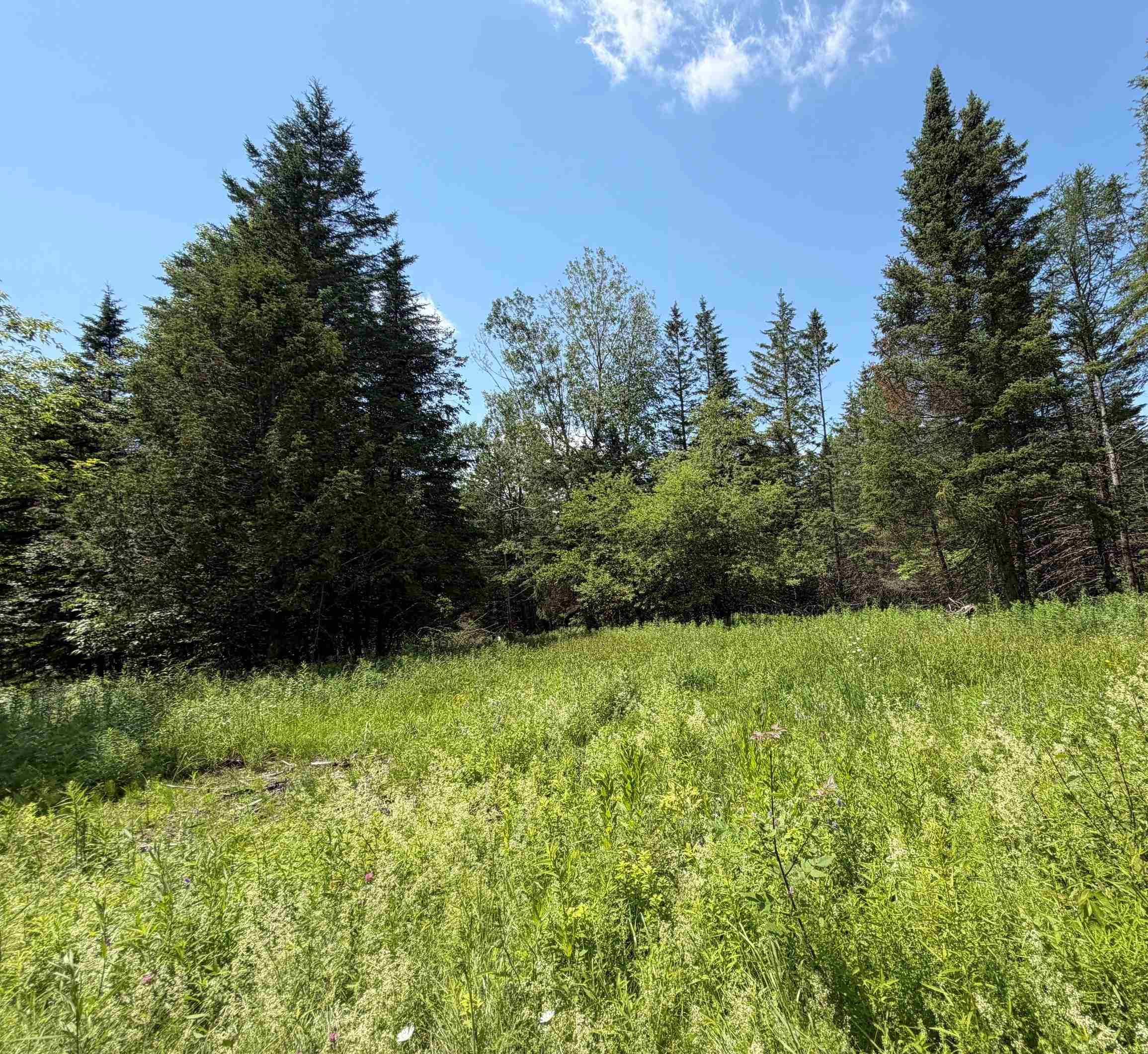 1090 Center Road, Unit LOT #3 Albany, VT 05845 - Photo 3 of 9