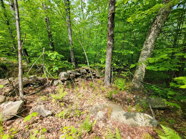 $210,000 | 184 Schoolhouse Road, Unit LOT #2, Jamaica, VT 05343