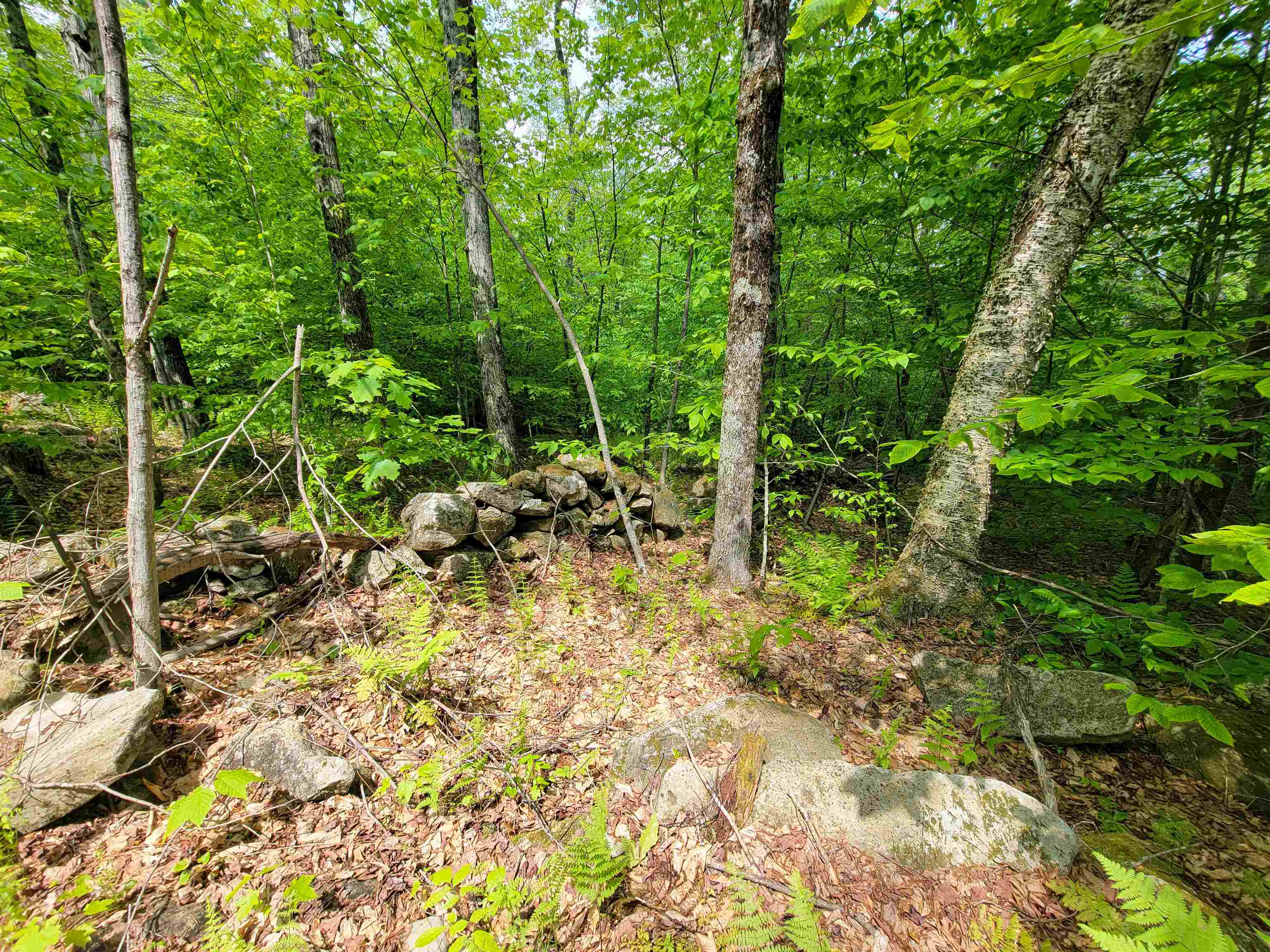 184 Schoolhouse Road, Unit LOT #2 Jamaica, VT 05343 - Photo 11 of 46