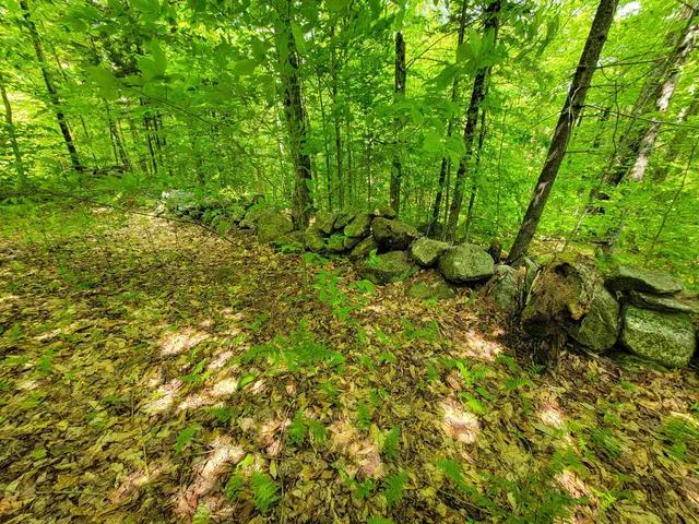 $210,000 | 184 Schoolhouse Road, Unit LOT #2, Jamaica, VT 05343