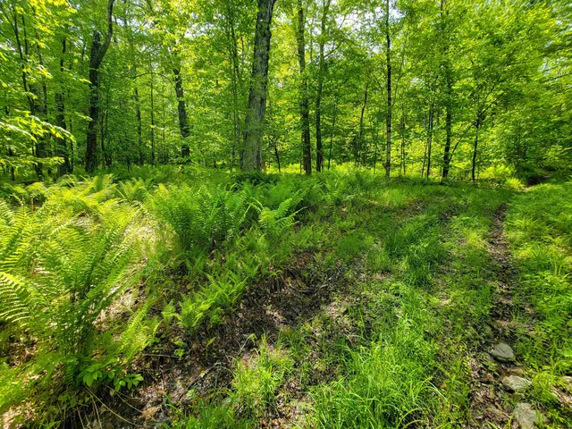 $210,000 | 184 Schoolhouse Road, Unit LOT #2, Jamaica, VT 05343