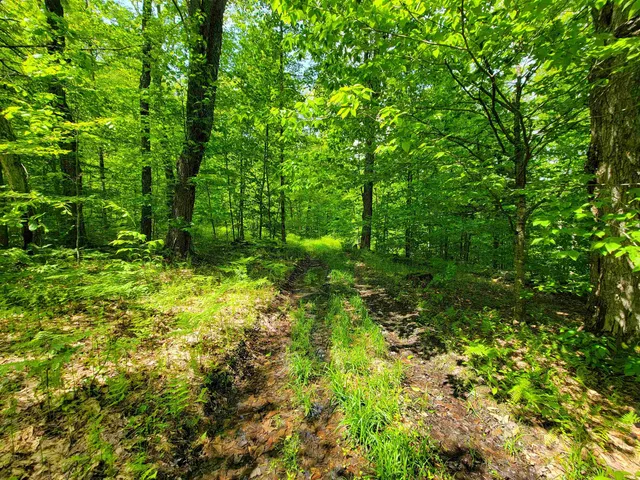 $210,000 | 184 Schoolhouse Road, Unit LOT #2, Jamaica, VT 05343