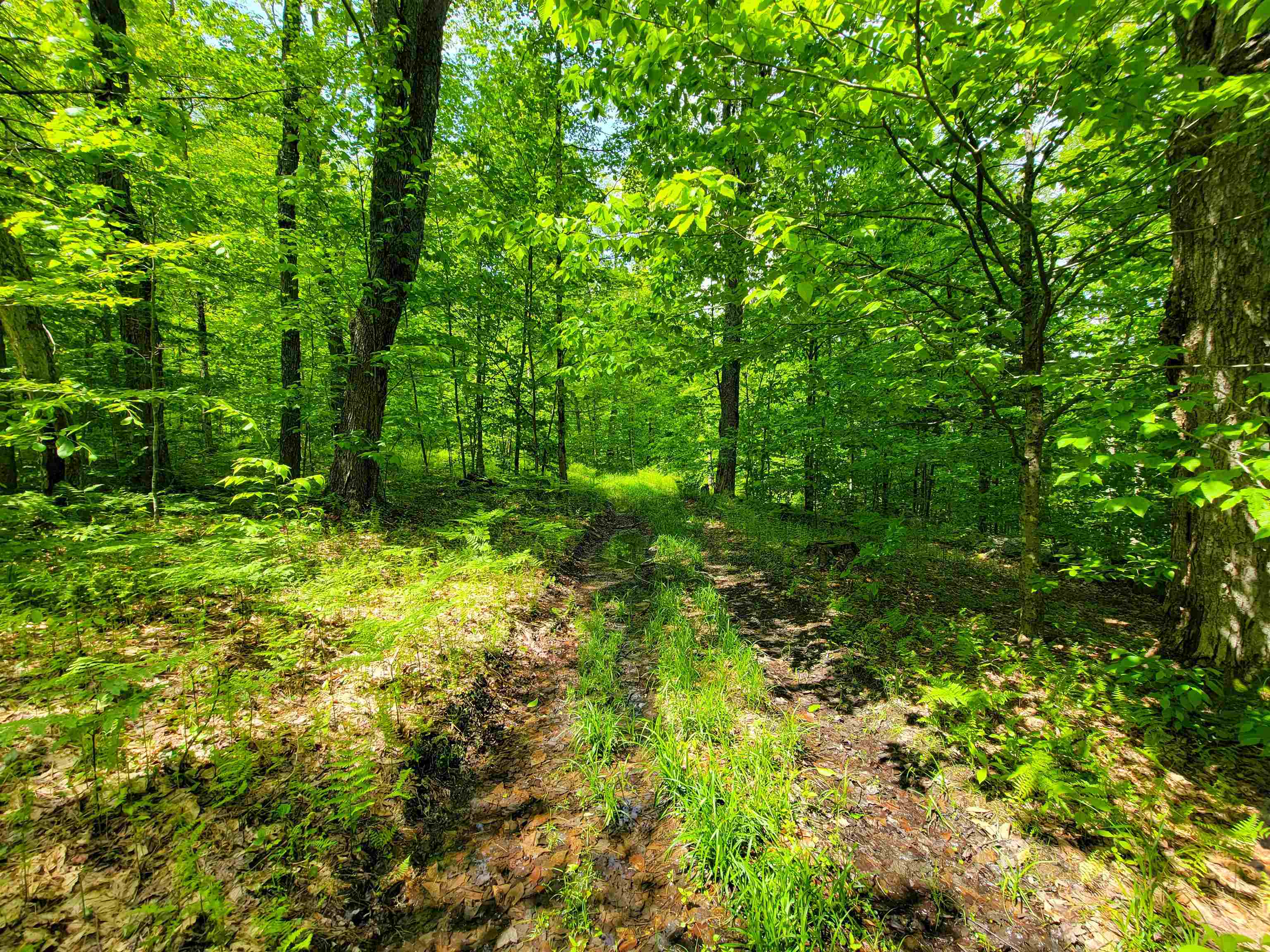 184 Schoolhouse Road, Unit LOT #2 Jamaica, VT 05343 - Photo 14 of 46