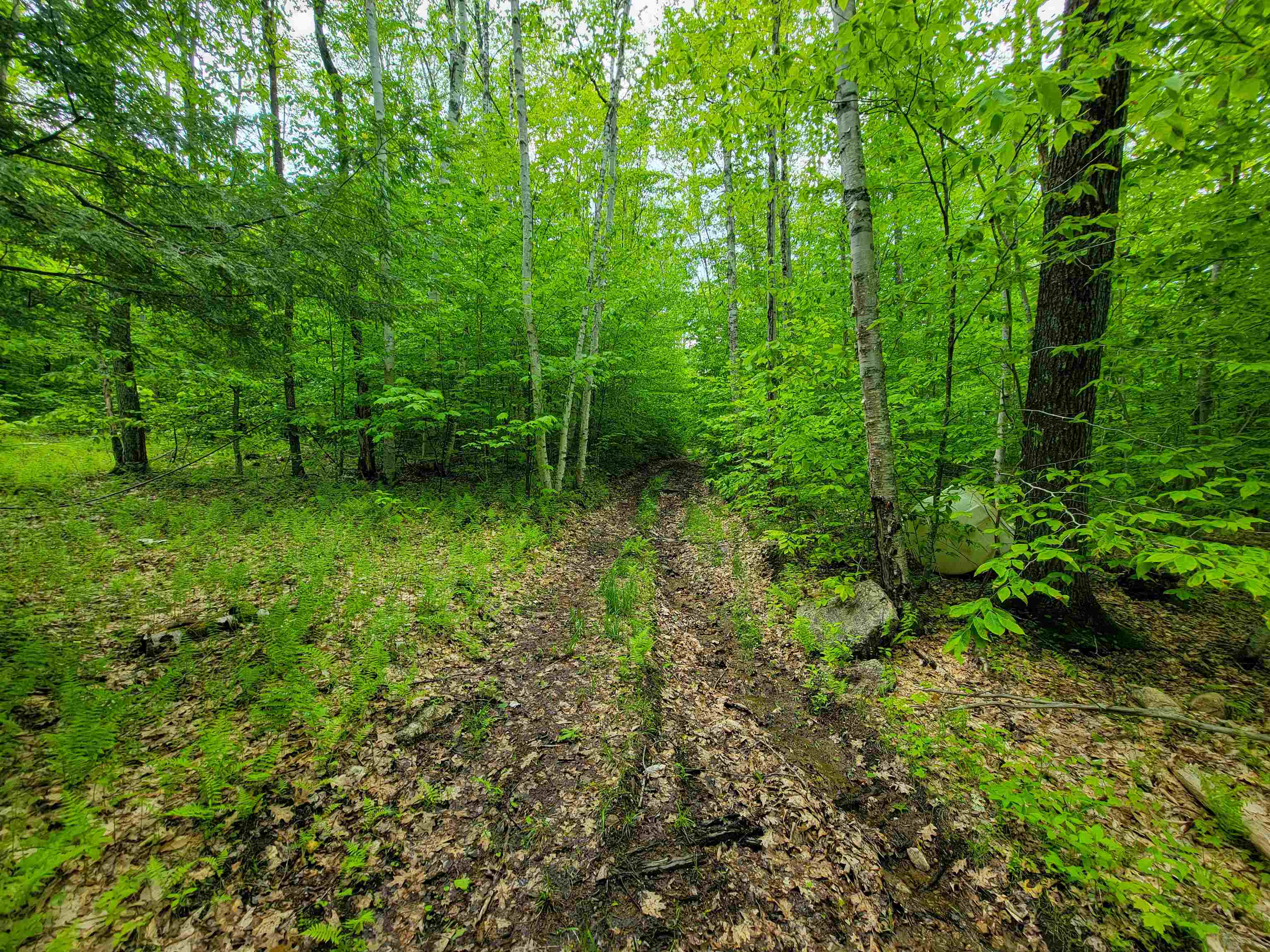 184 Schoolhouse Road, Unit LOT #2 Jamaica, VT 05343 - Photo 16 of 46