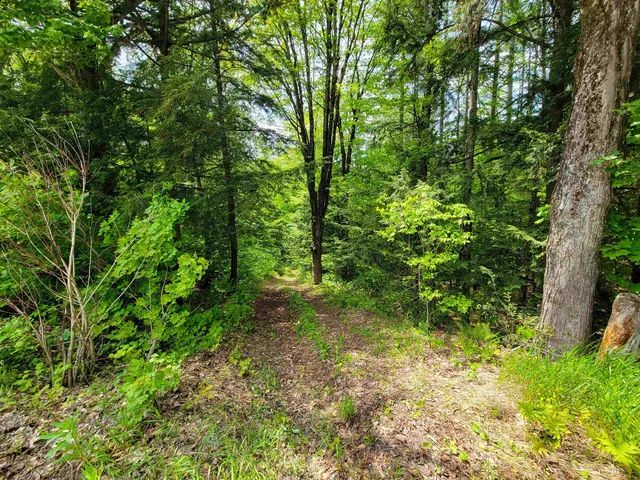 $210,000 | 184 Schoolhouse Road, Unit LOT #2, Jamaica, VT 05343