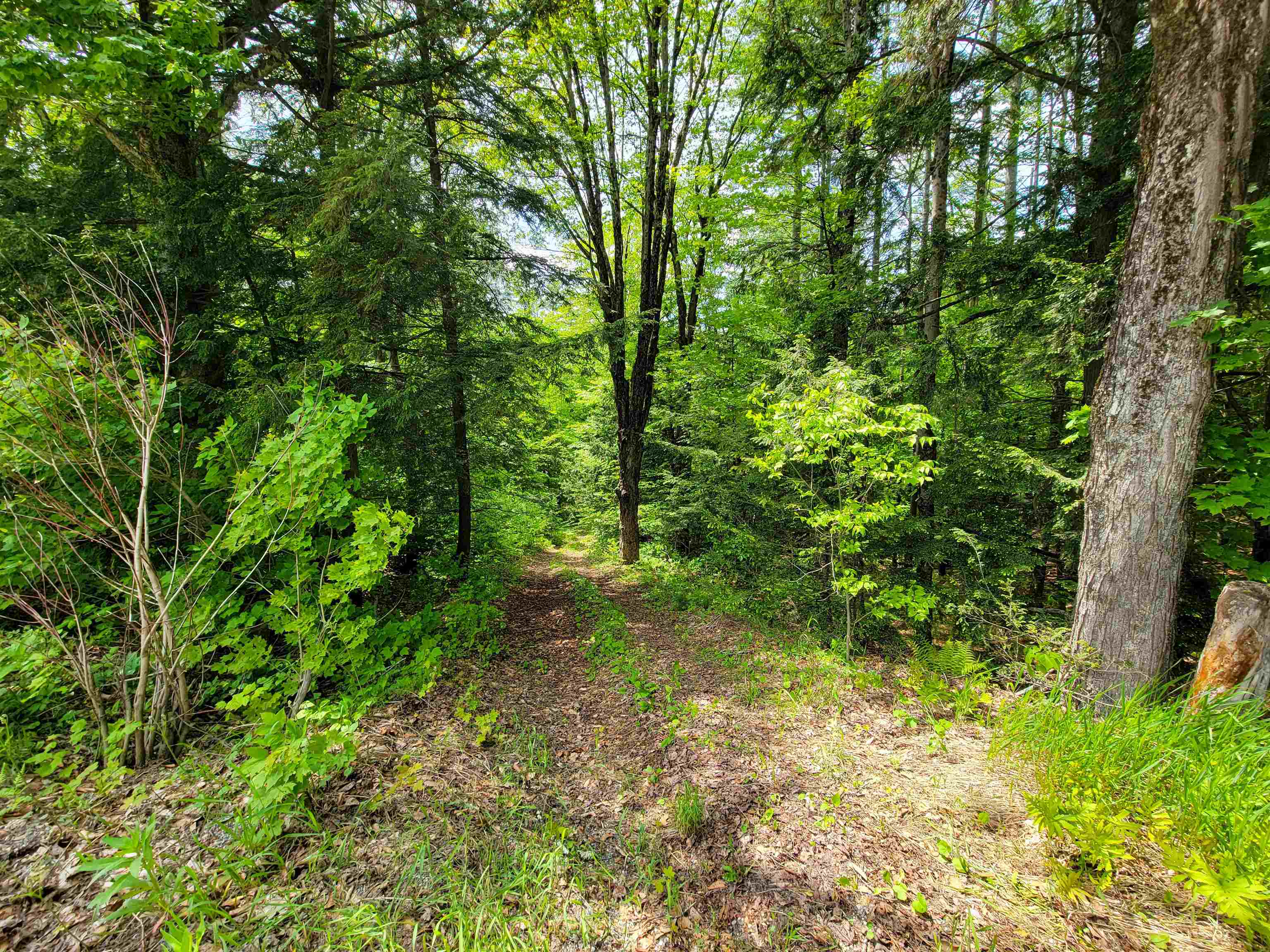 184 Schoolhouse Road, Unit LOT #2 Jamaica, VT 05343 - Photo 17 of 46