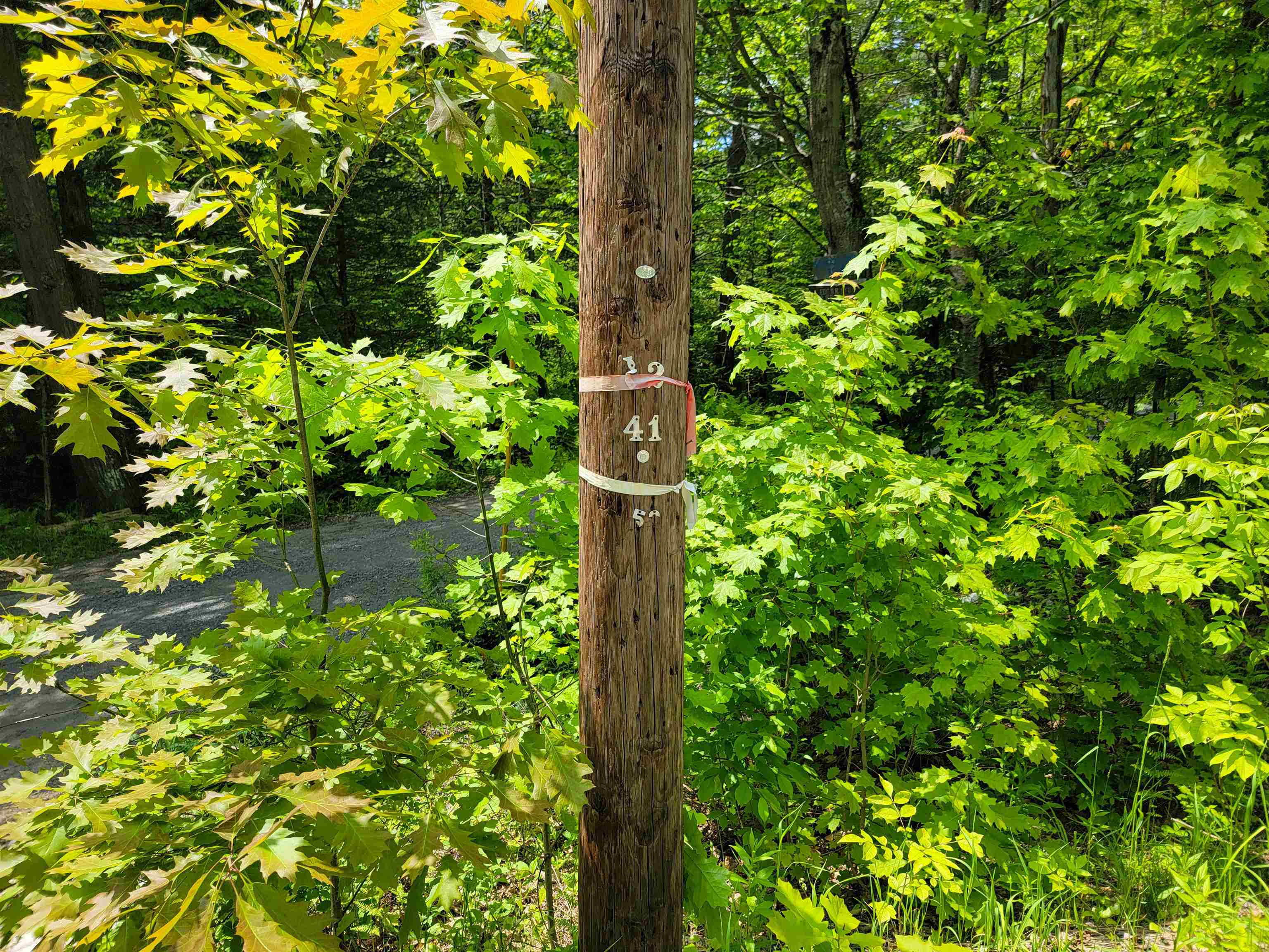 184 Schoolhouse Road, Unit LOT #2 Jamaica, VT 05343 - Photo 20 of 46