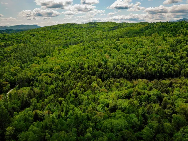 $210,000 | 184 Schoolhouse Road, Unit LOT #2, Jamaica, VT 05343