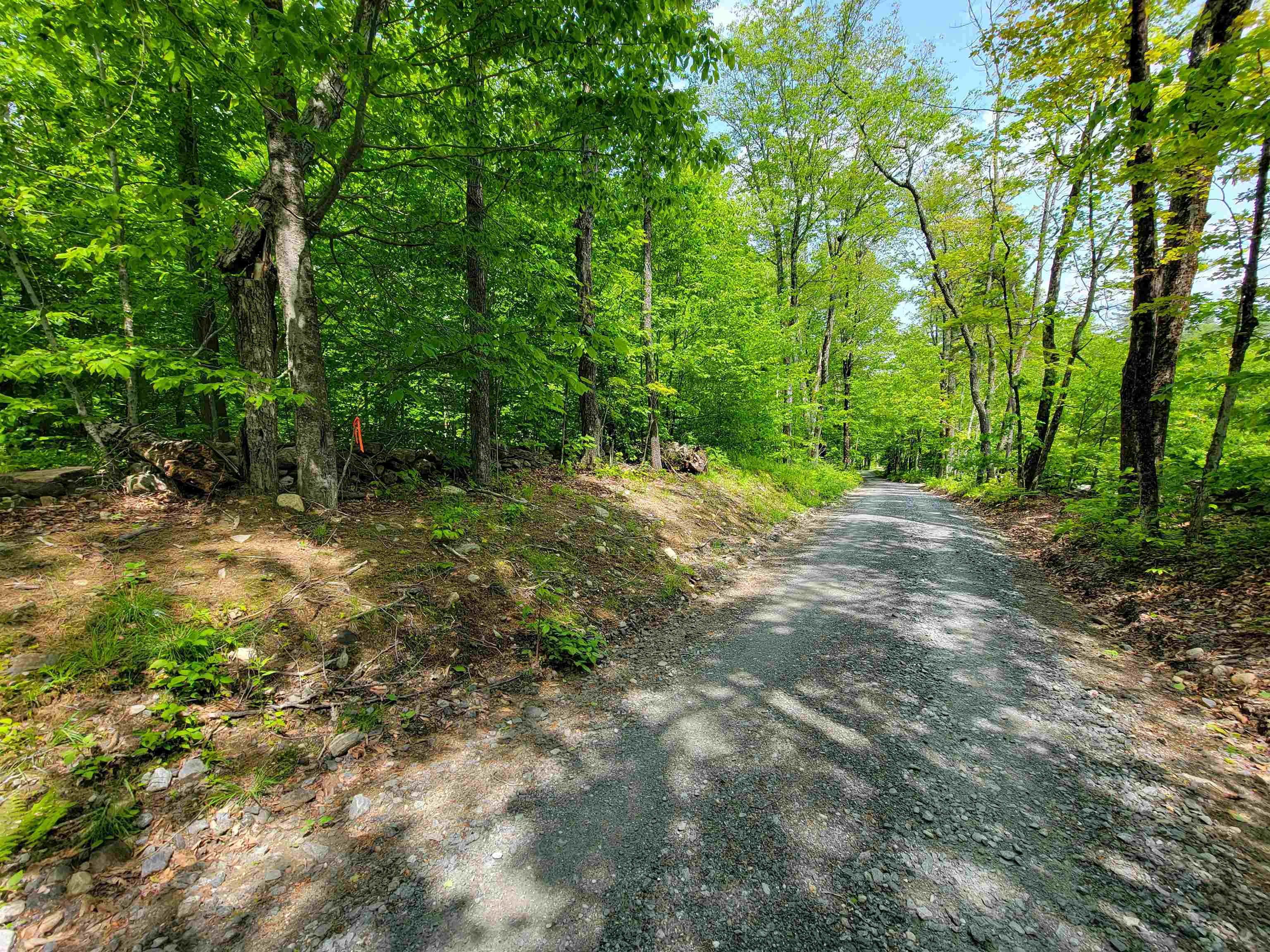 184 Schoolhouse Road, Unit LOT #2 Jamaica, VT 05343 - Photo 22 of 46