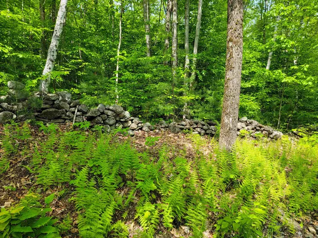 $210,000 | 184 Schoolhouse Road, Unit LOT #2, Jamaica, VT 05343