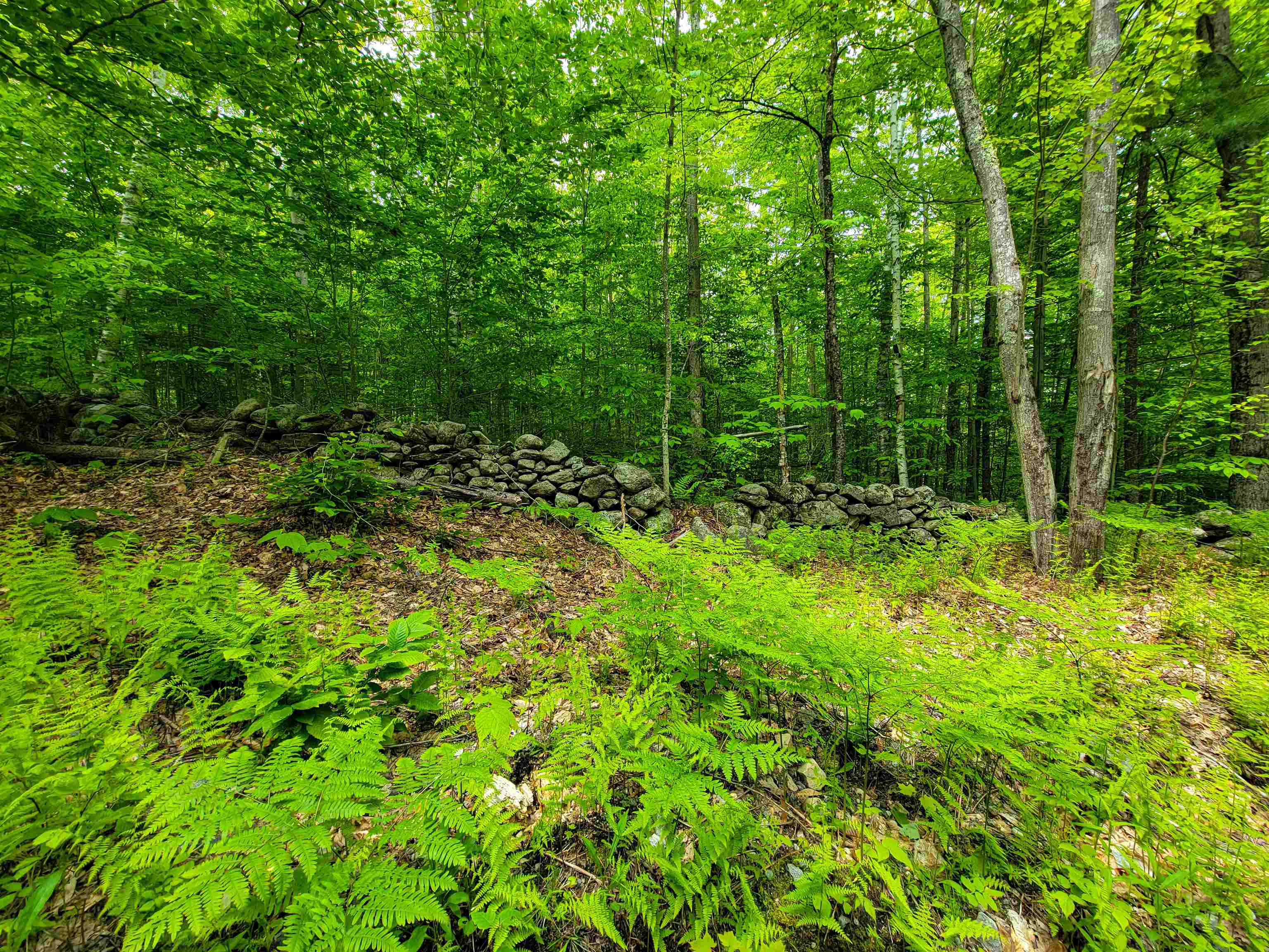 184 Schoolhouse Road, Unit LOT #2 Jamaica, VT 05343 - Photo 24 of 46