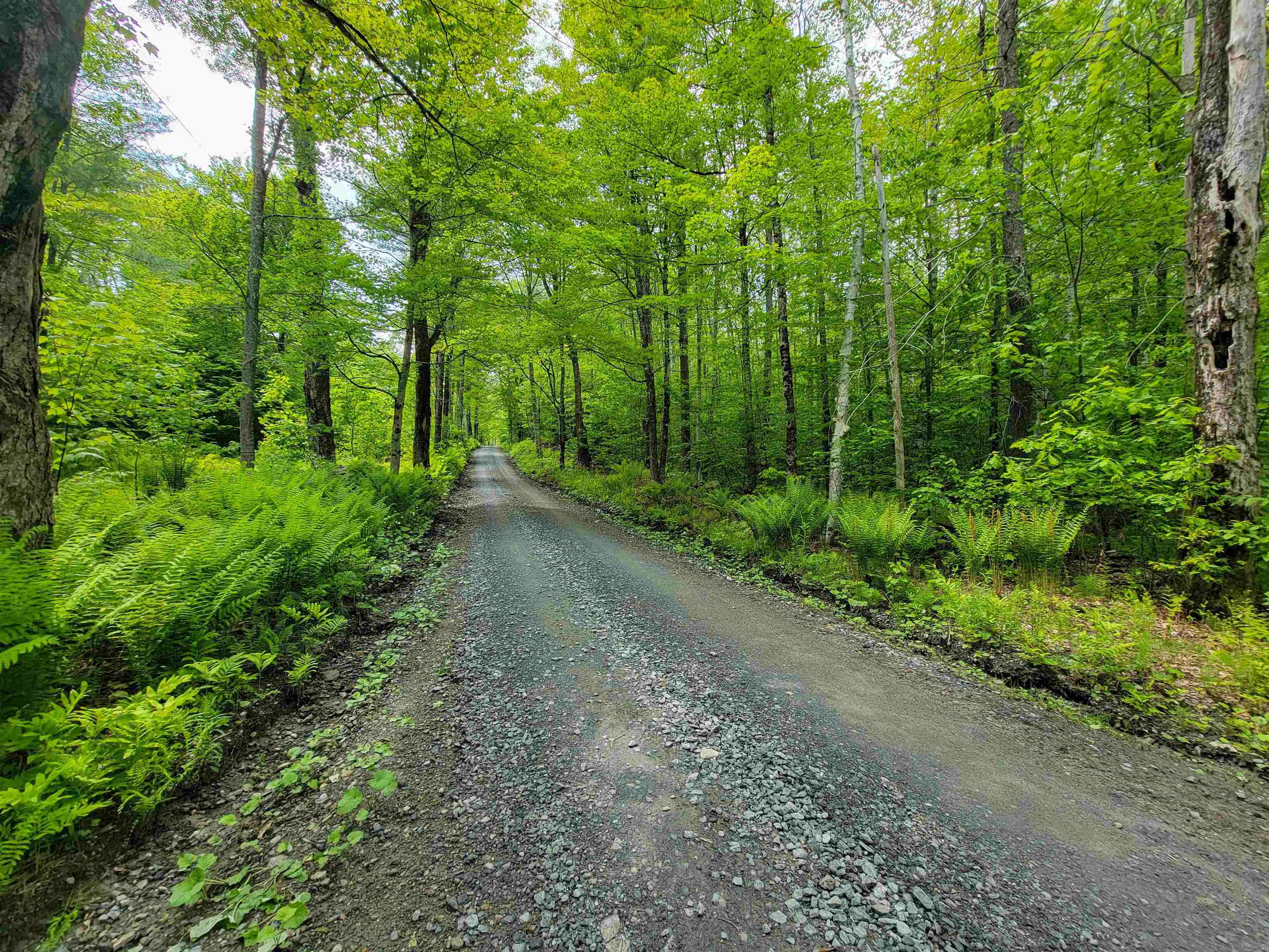 184 Schoolhouse Road, Unit LOT #2 Jamaica, VT 05343 - Photo 25 of 46