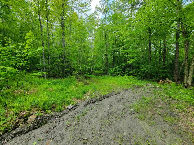 $210,000 | 184 Schoolhouse Road, Unit LOT #2, Jamaica, VT 05343