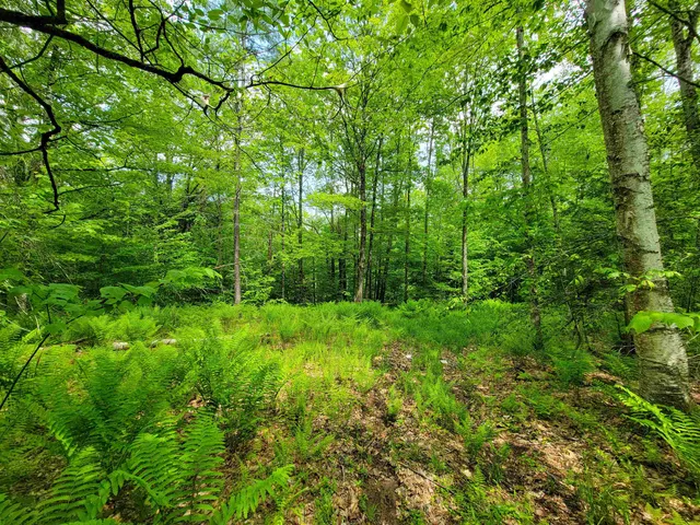 $210,000 | 184 Schoolhouse Road, Unit LOT #2, Jamaica, VT 05343