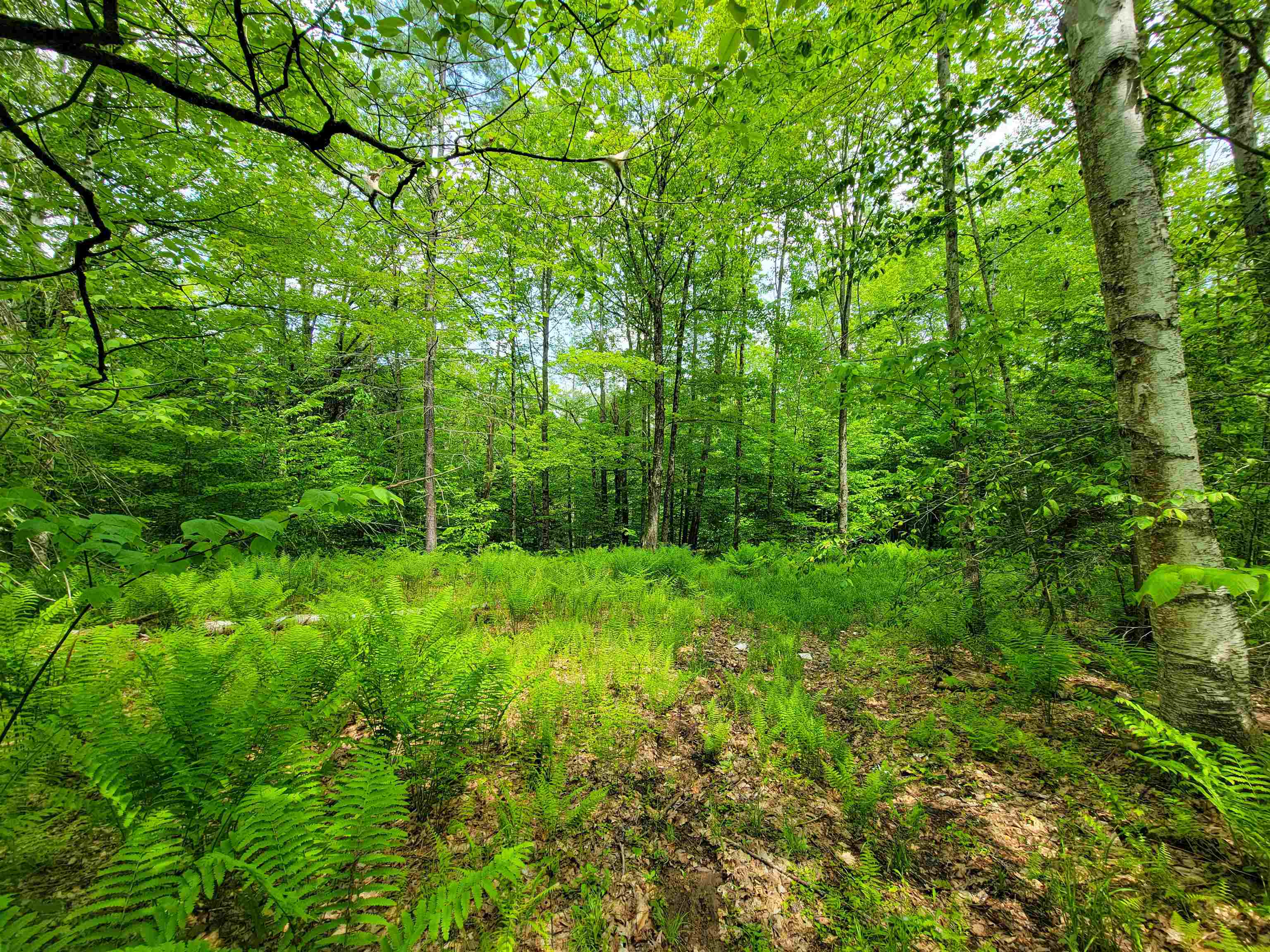 184 Schoolhouse Road, Unit LOT #2 Jamaica, VT 05343 - Photo 28 of 46