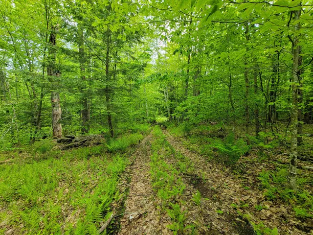 $210,000 | 184 Schoolhouse Road, Unit LOT #2, Jamaica, VT 05343