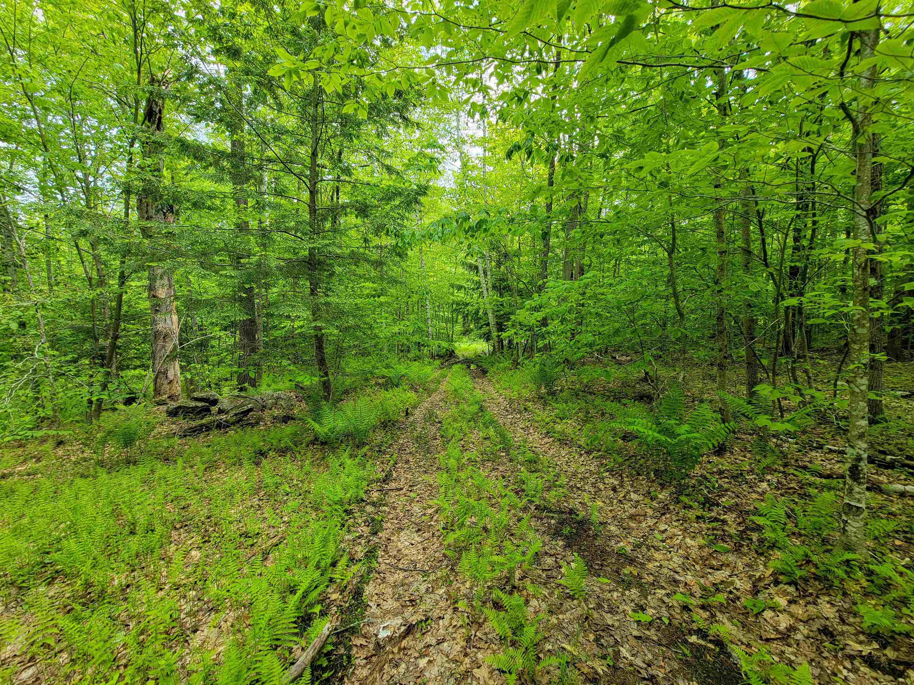 184 Schoolhouse Road, Unit LOT #2 Jamaica, VT 05343 - Photo 29 of 46