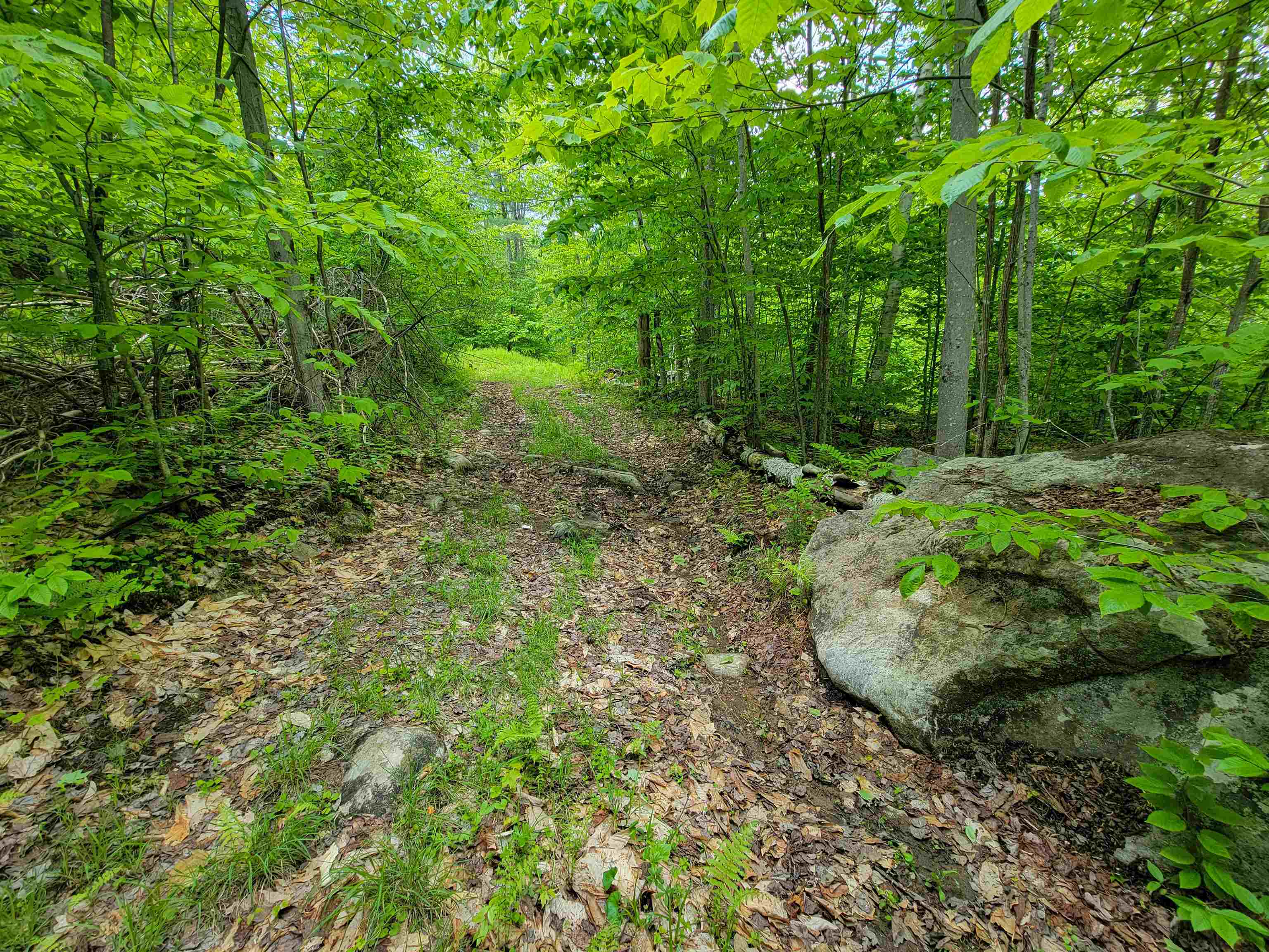 184 Schoolhouse Road, Unit LOT #2 Jamaica, VT 05343 - Photo 30 of 46