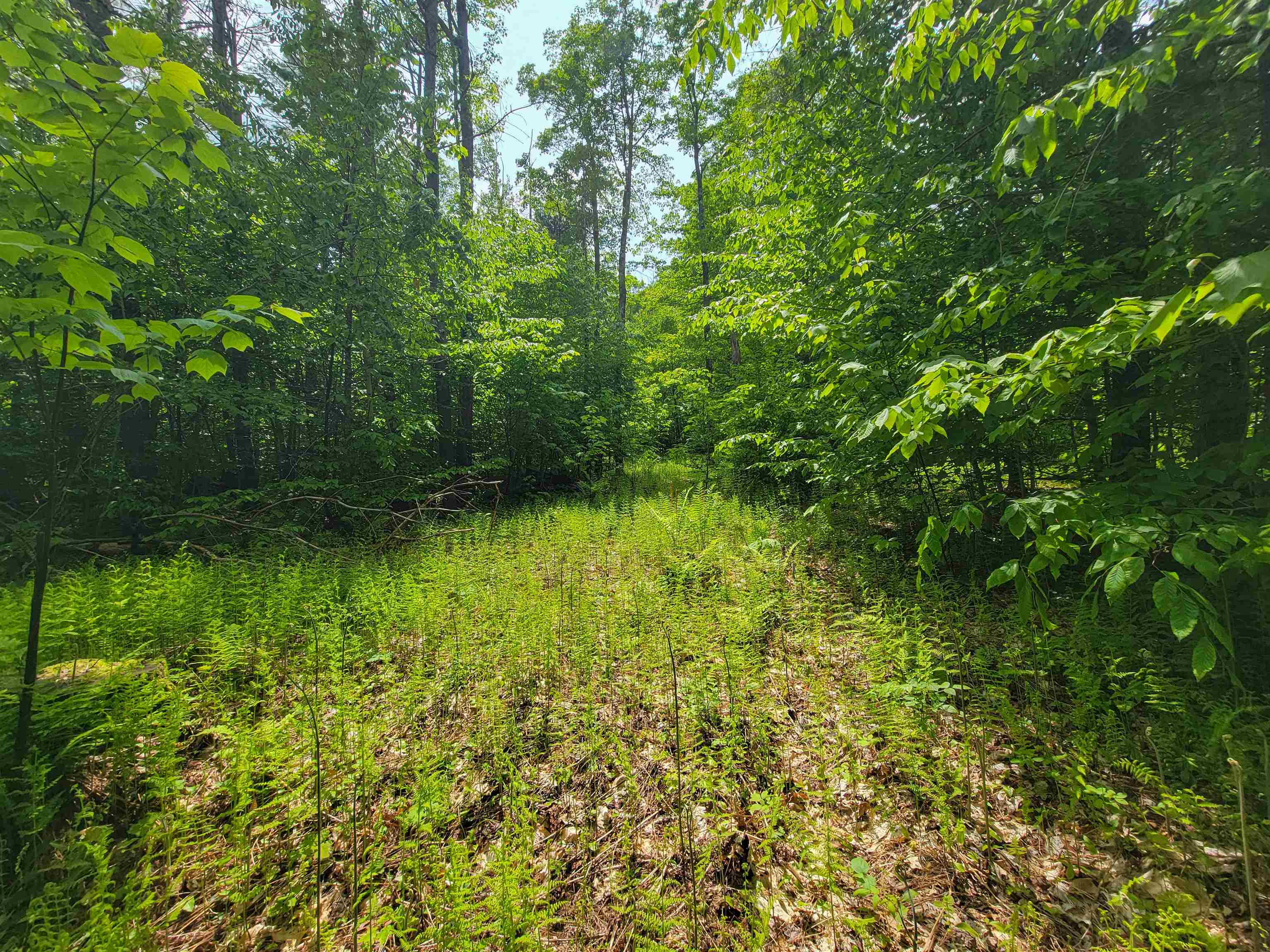 184 Schoolhouse Road, Unit LOT #2 Jamaica, VT 05343 - Photo 31 of 46